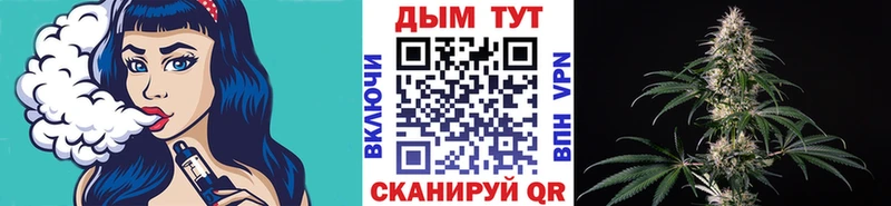 Купить закладку Кологрив ГАШИШ  Alpha PVP  Галлюциногенные грибы  ссылка на мегу ONION  МЕФ  Канабис 
